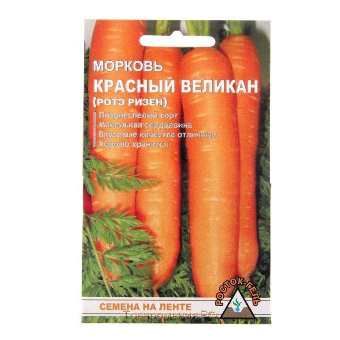 Морковь красный великан: характеристика и описание сорта, выращивание