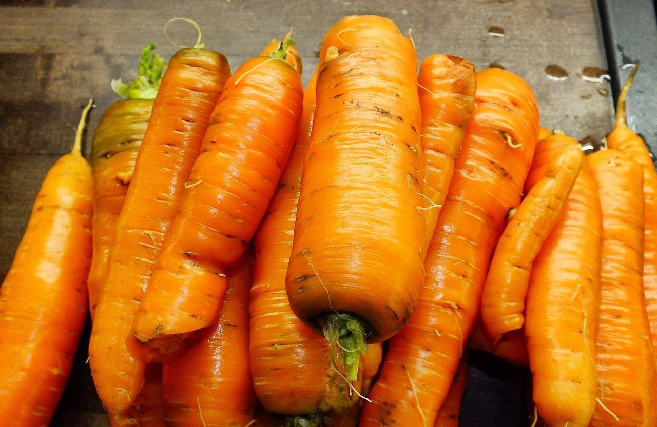 Почему морковь желтая а не оранжевая. почему морковь невкусная? почему морковь не ярко оранжевая