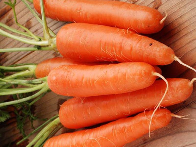 Сорта моркови: 50 лучших видов с описаниями и характеристиками + фото