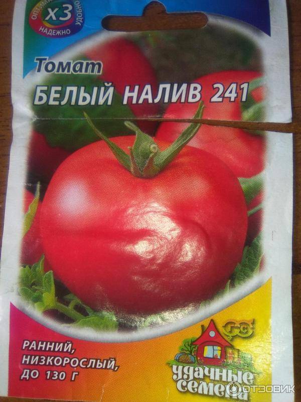 Томат белый налив: описание сорта, фото, отзывы, посадка и уход