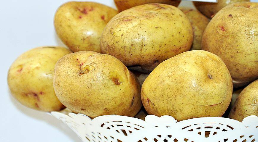 Среднепоздний сорт картофеля алладин: характеристика, описание сорта, фото