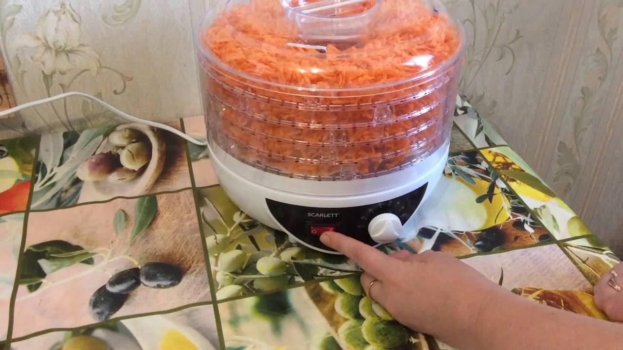 Рецепты сушки моркови в электросушилке, в духовке, на солнце