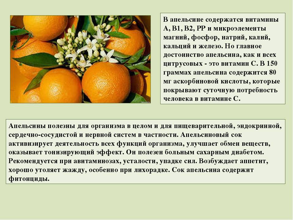Лимон или апельсин — что более полезно? | польза и вред