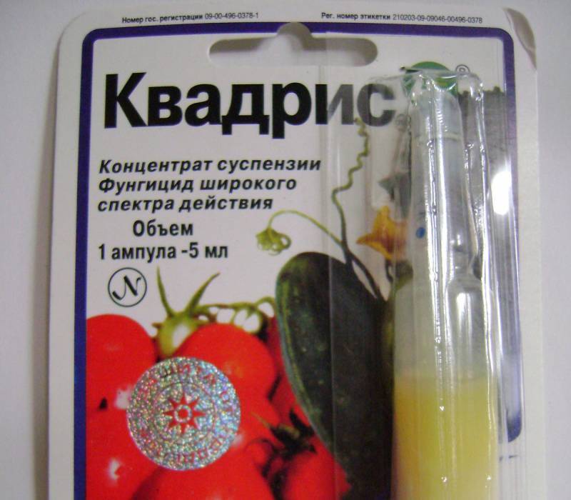 Фунгицид квадрис — инструкция по применению, преимущества препарата, видео