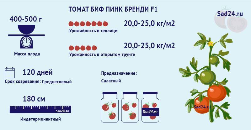 Томат медовые росы: характеристика и описание сорта, отзывы с фото