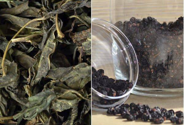 Ферментированный чай из листьев смородины в домашних условиях