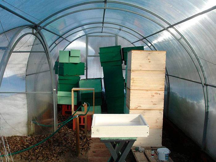 Современное пчеловодство зимой - как подготовиться к зиме начинающим пчеловодам | cельхозпортал