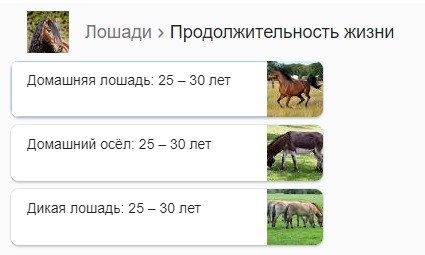 Годы жизни лошади. Продолжительность жизни животных лошадь. Продолжительность лошадей. Продолжительность жизни коня. Средняя Продолжительность жизни лошади.