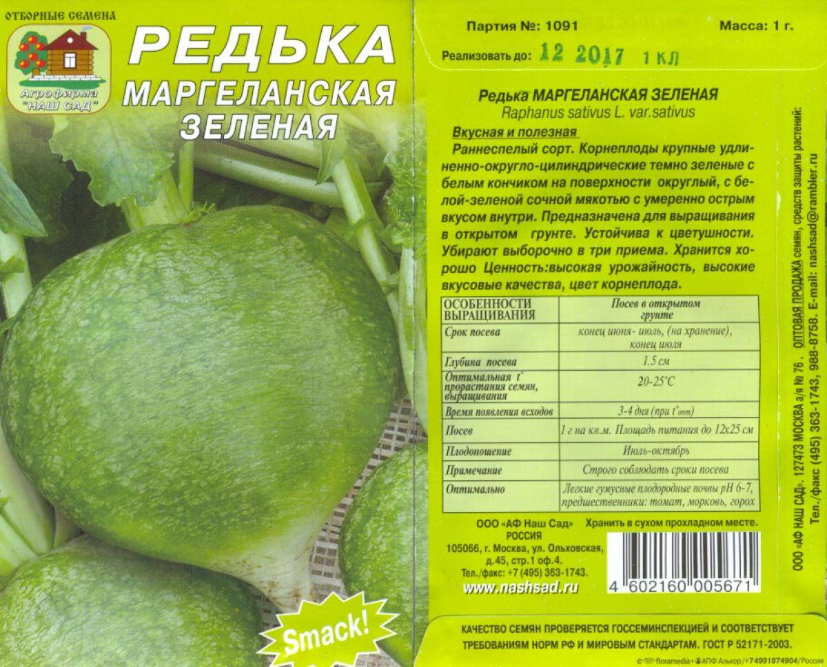 Когда сеять редьку в открытый грунт: советы экспертов