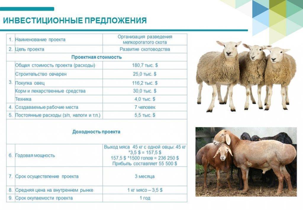 Какие нормы по количеству животных в подсобном хозяйстве? - вопрос №12755006. 9111.ru