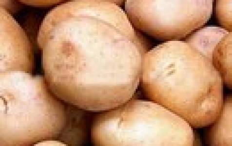 Описание картофеля красавчик: характеристики растения и клубней