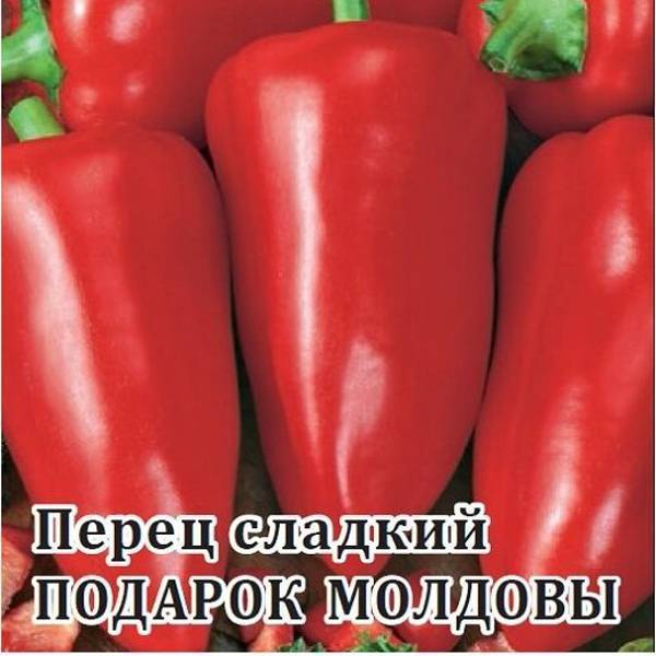 Перец подарок молдовы: характеристика и описание сладкого сорта с фото