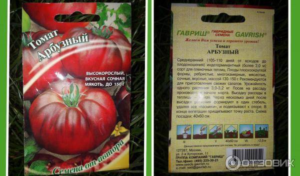 Томат арбуз: описание сорта, отзывы, фото, урожайность | tomatland.ru