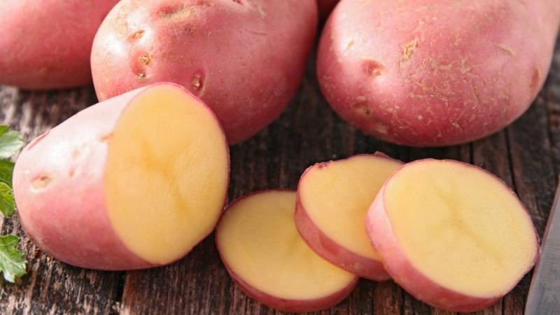 Картофель "любава": описание сорта, фото, отзывы