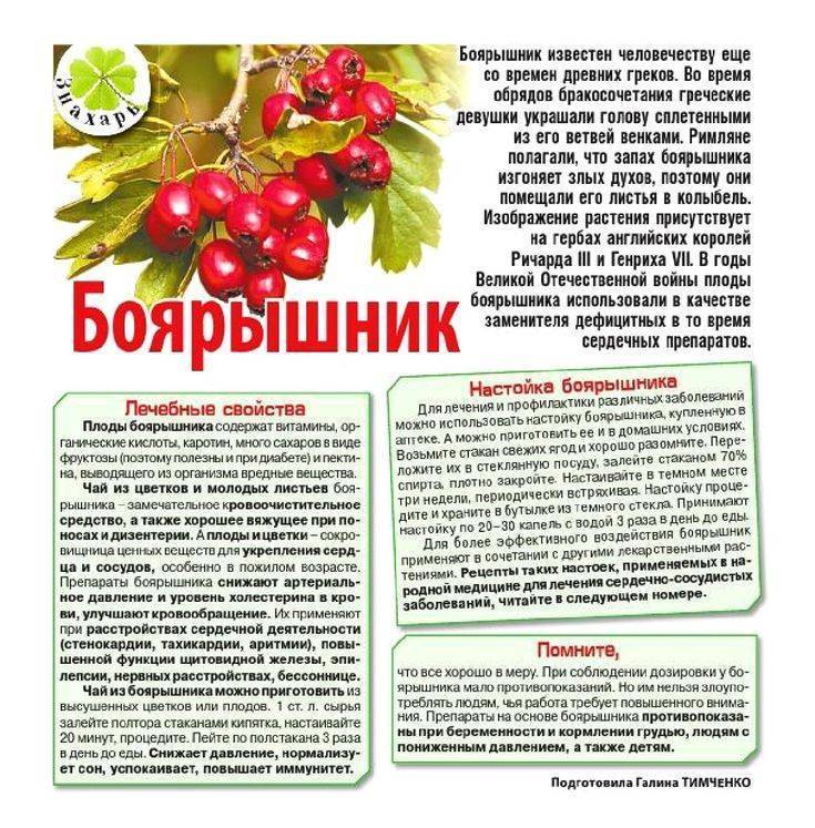 Боярышник