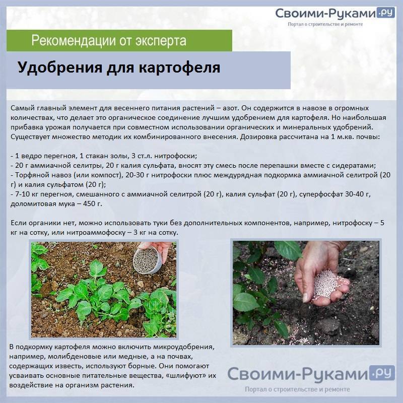 ᐉ мочевина и селитра для картофеля: инструкция и нормы внесения - roza-zanoza.ru