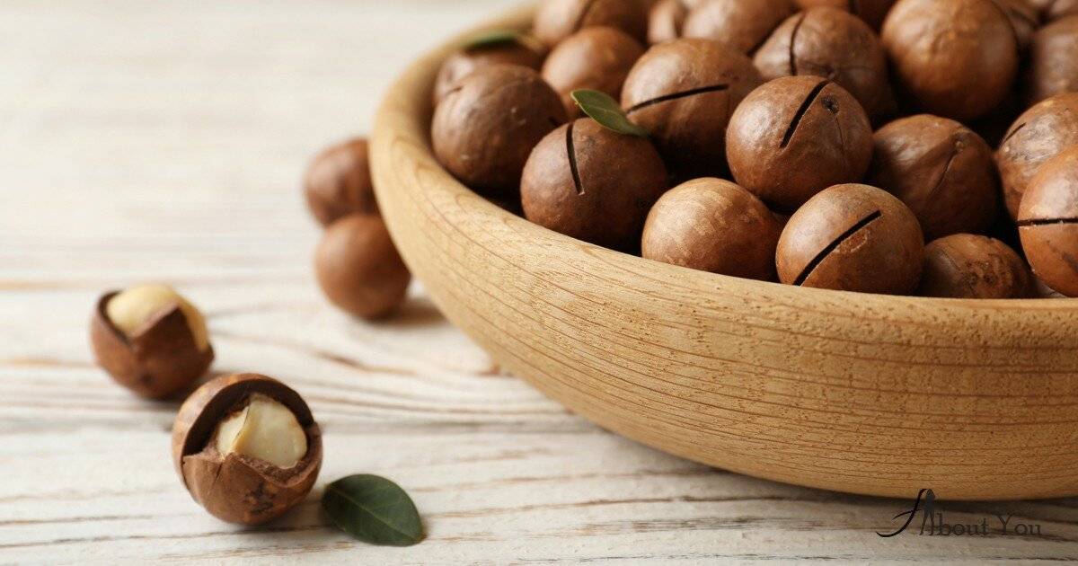 Орехи макадамия: польза и вред для организма человека