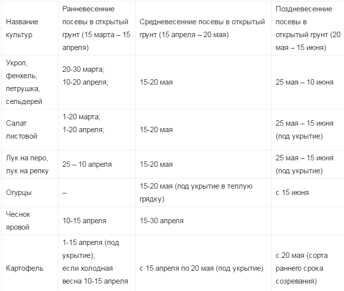 Посев моркови под зиму