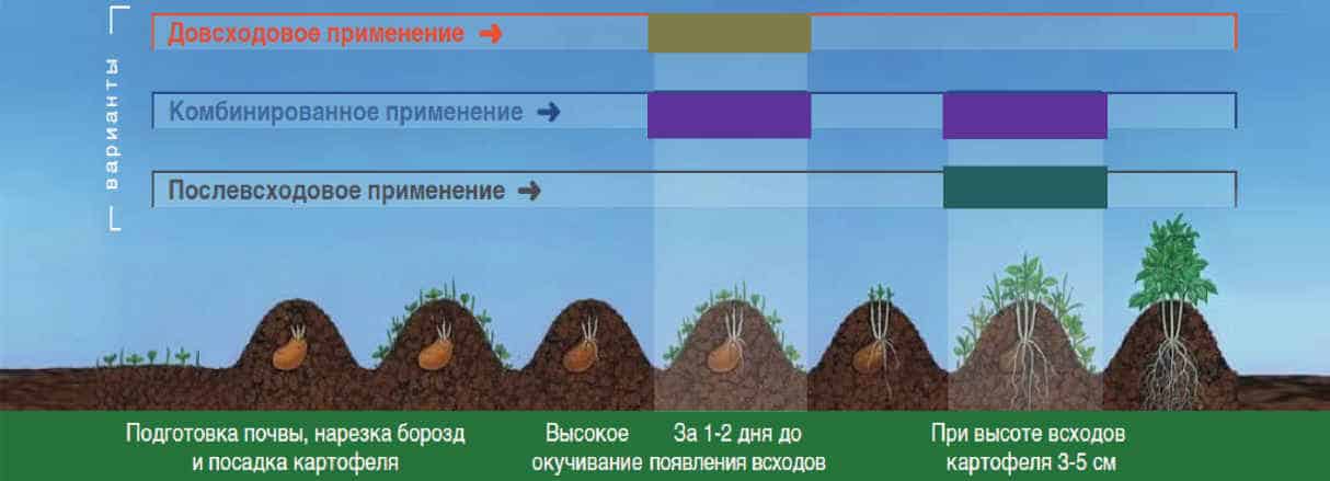 Лучшие гербициды от сорняков для картофеля: список гербицидов, сроки и правила внесения