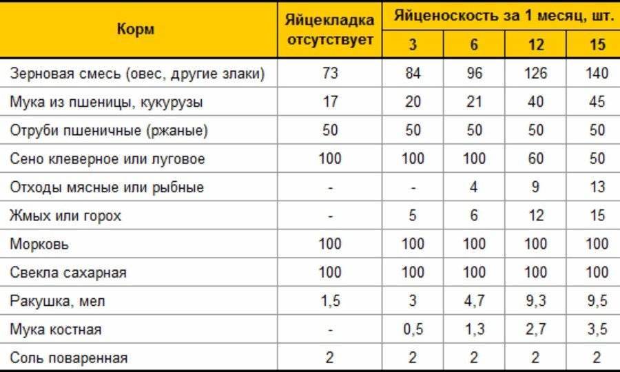 Схема пропойки утят с первых дней