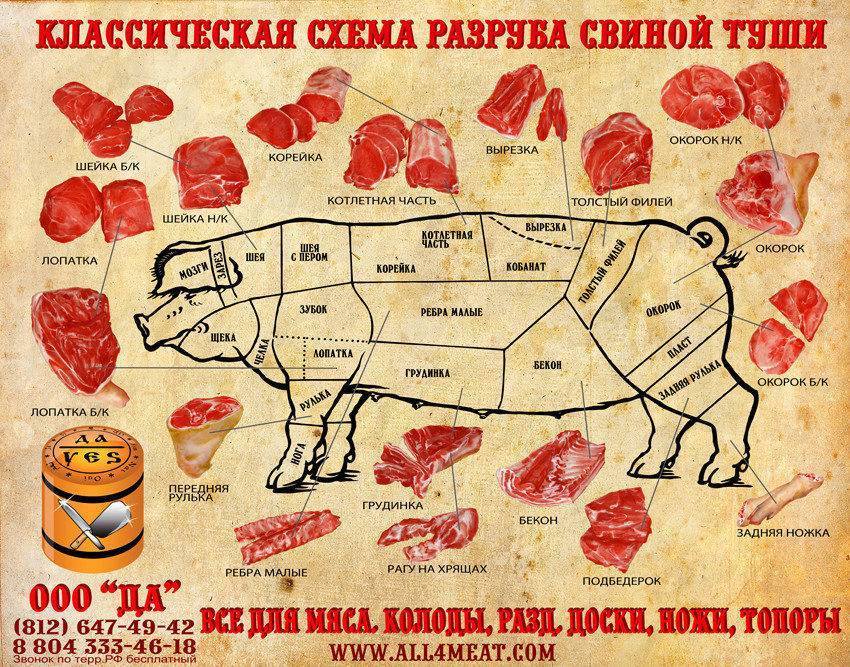 Откуда мясо. Разделка мяса свинины схема. Схема разруба туши свинины. Схема разделки туши свинины. Схема разделки свиной туши.