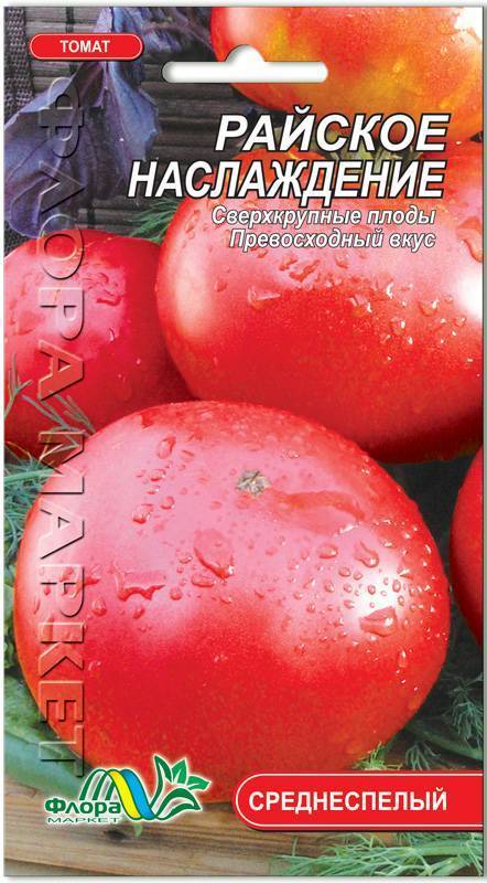 Кладоспориоз томатов: 69 фото и методов борьбы с заболеванием