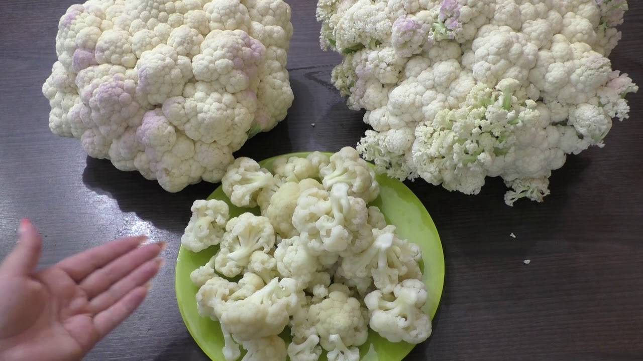 Как правильно замораживать в морозилке цветную капусту на зиму; заморозка в домашних условиях