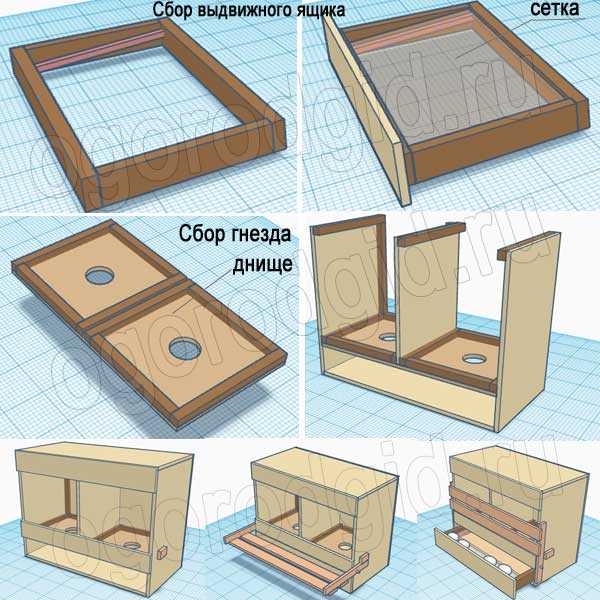 Куриные гнезда для несушек с яйцесборником своими руками чертежи и размеры и фото пошаговая