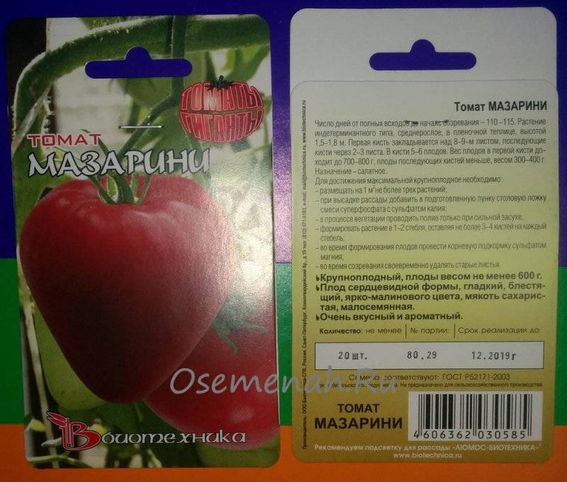 Томат мазарини: описание, характеристика, урожайность сорта, особенности выращивания помидоров, отзывы тех, кто сажал, фото