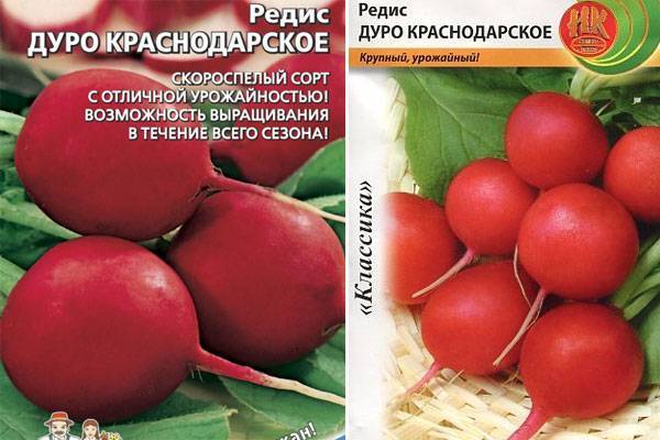 Редис Дуро Краснодарское