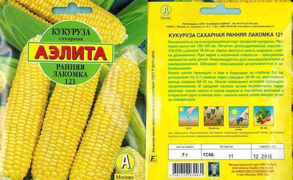 ᐉ кукуруза бондюэль: описание сорта, фото, выращивание, достоинства и недостатки - zookovcheg.ru