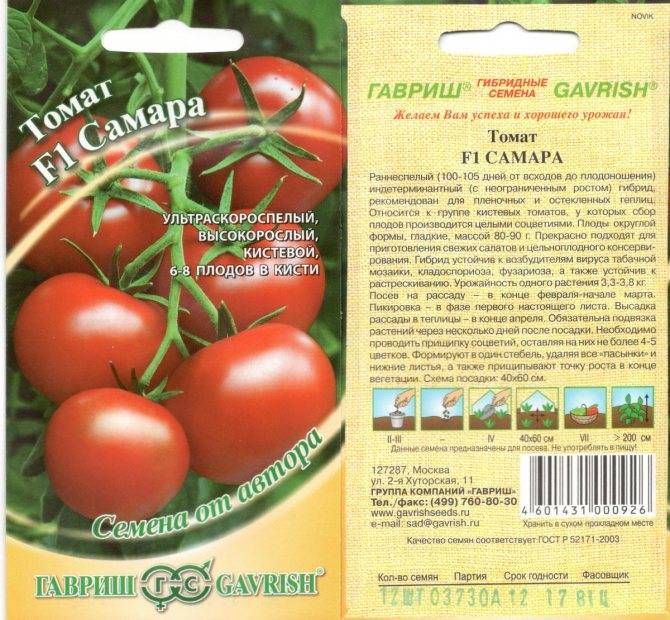 Лучшие сорта помидоров сибирской селекции на 2021 год