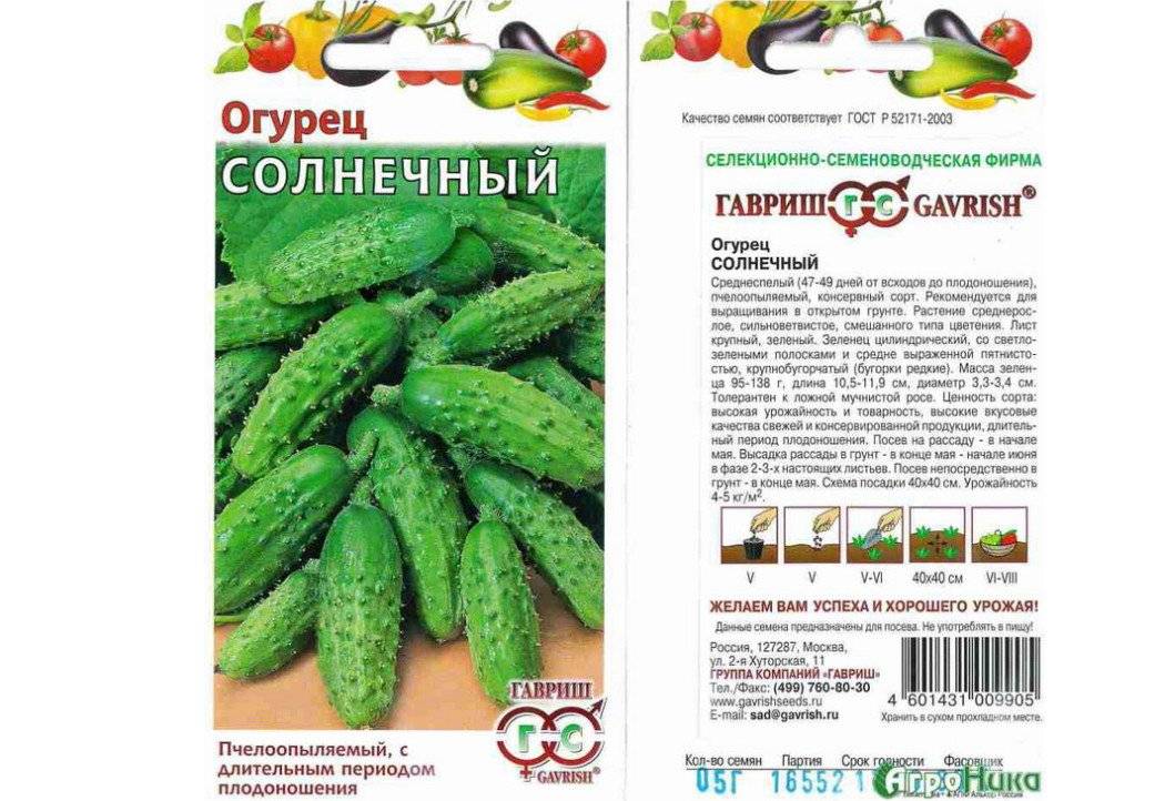 Какой сорт огурца лучше для теплицы. Сорта огурцов для открытого грунта самоопыляемые корнишоны. Огурцы корнишоны самоопыляемые для открытого грунта. Сорта огурцов для теплицы самоопыляемые для Подмосковья. Огурец Солнечный.