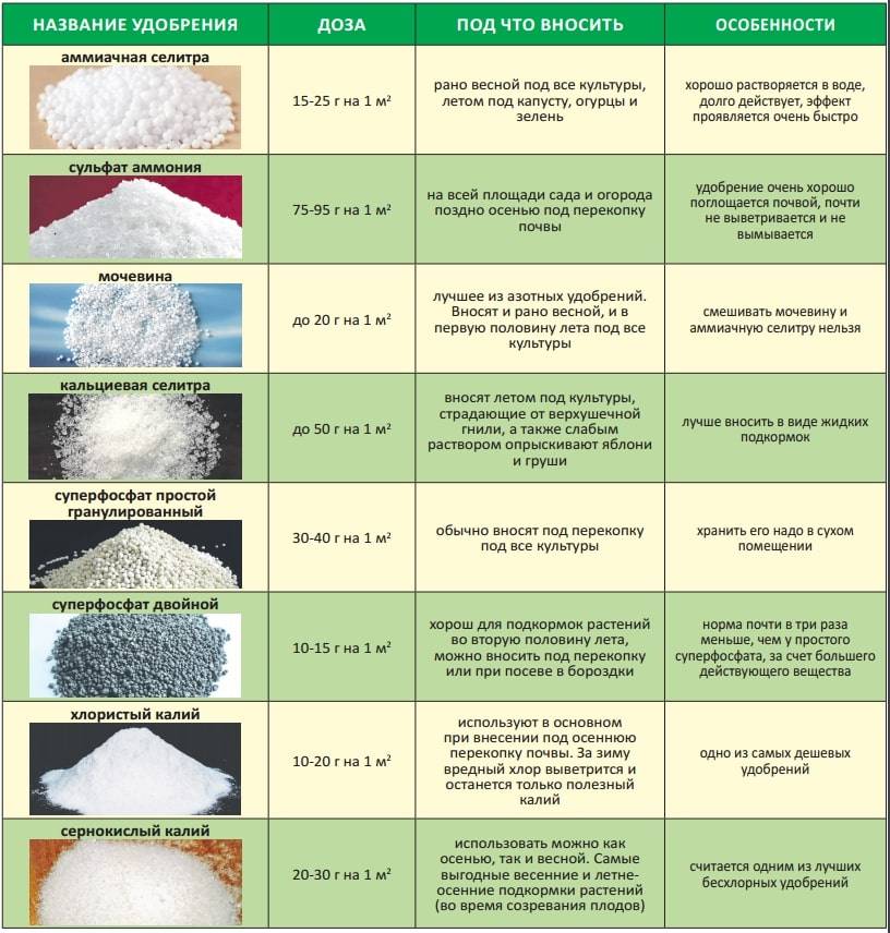 Что такое подкормка мочевина овощная подкормка