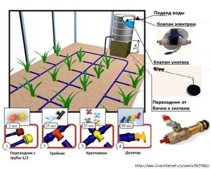 Капельный полив в теплице: принцип действия, монтаж и преимущества системы