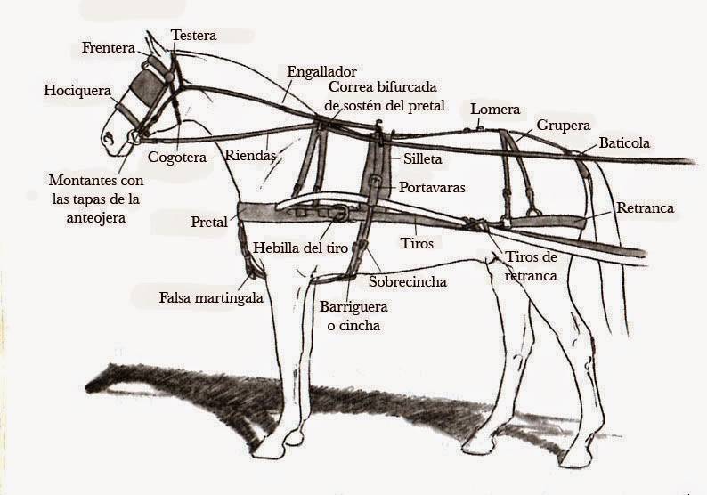 Упряжь для лошади схема