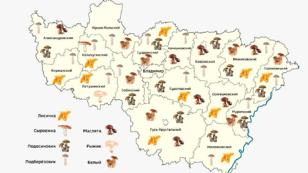 Грибные места подмосковья карта