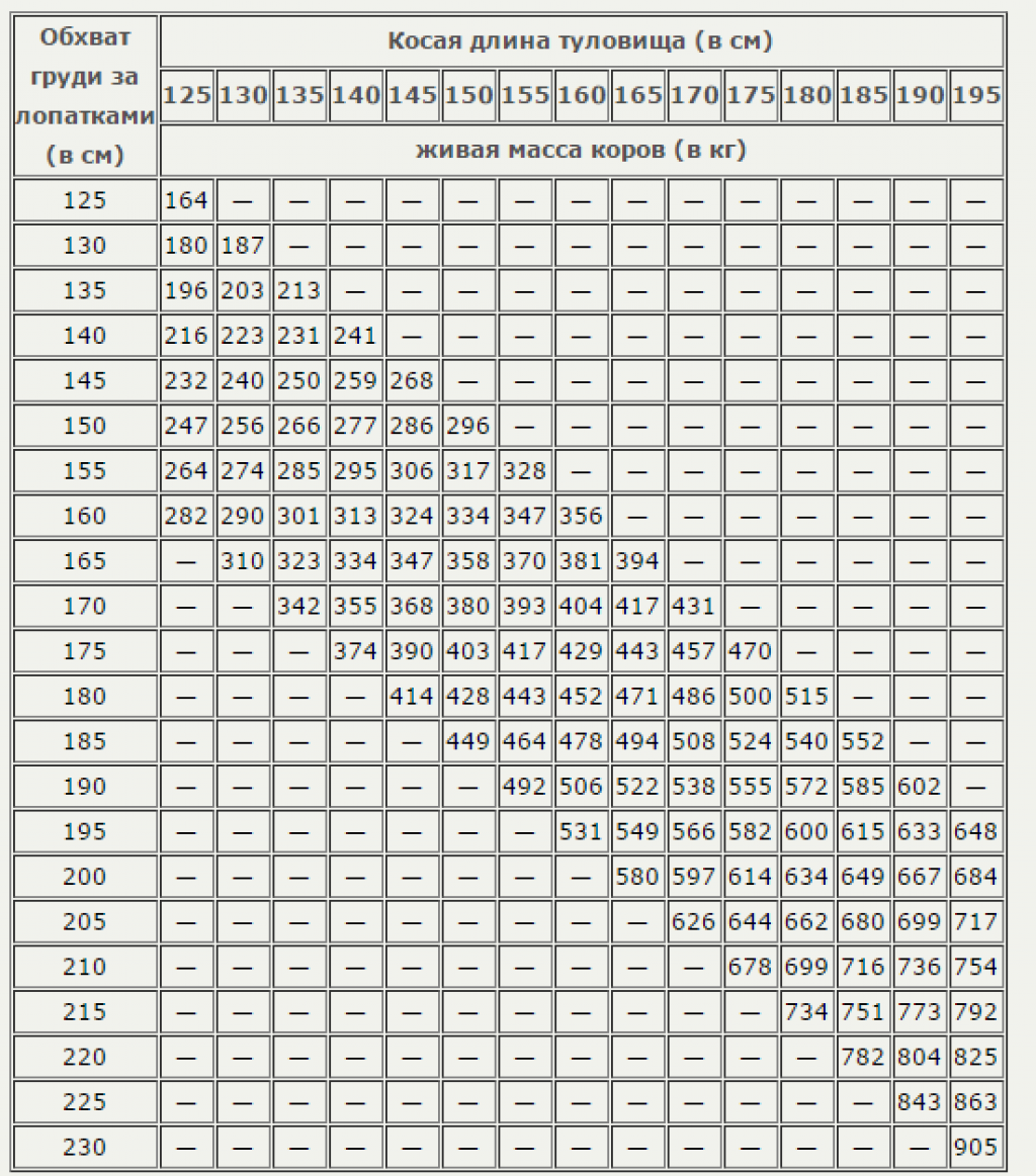 Как определить вес быка без весов: таблица с показателями