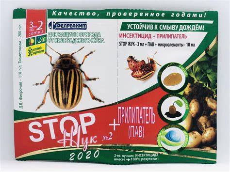 Самые действенные препараты от колорадского жука в 2021 году