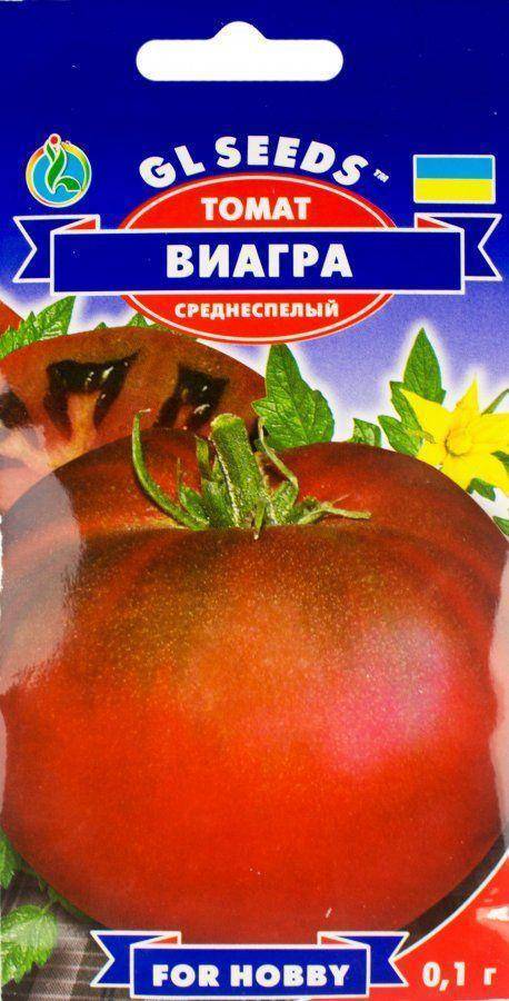 Томат виагра: характеристика и описание сорта, фото черных помидоров, отзывы тех кто сажал семена об урожайности растения шоколадного цвета | сортовед