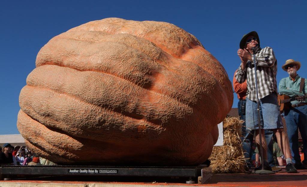 Самая большая тыква в мире: рекордсмен на один год