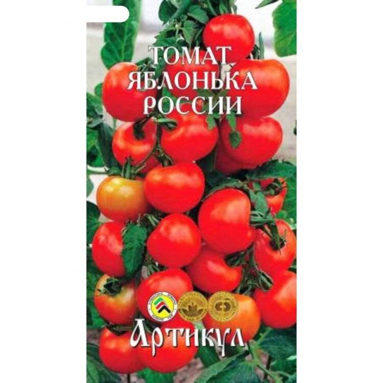 Томат яблонька россии —характеристика и описание сорта, фото, отзывы тех, кто сажал, урожайность