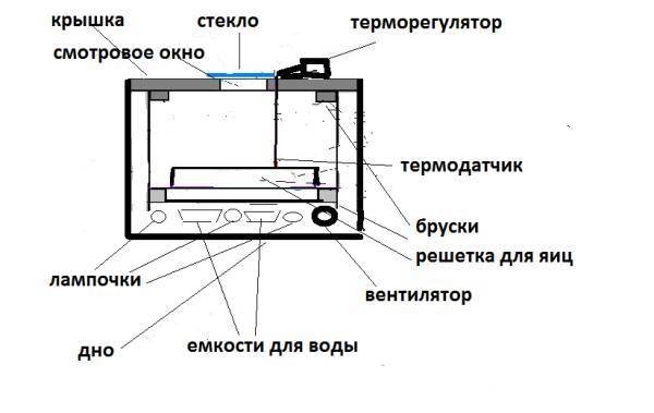 Чертеж для инкубатора