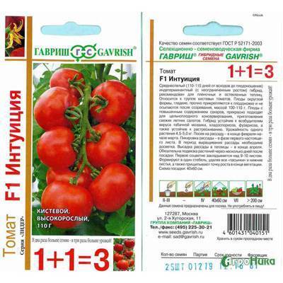 Томат интуиция: описание, отзывы, фото, характеристика | tomatland.ru