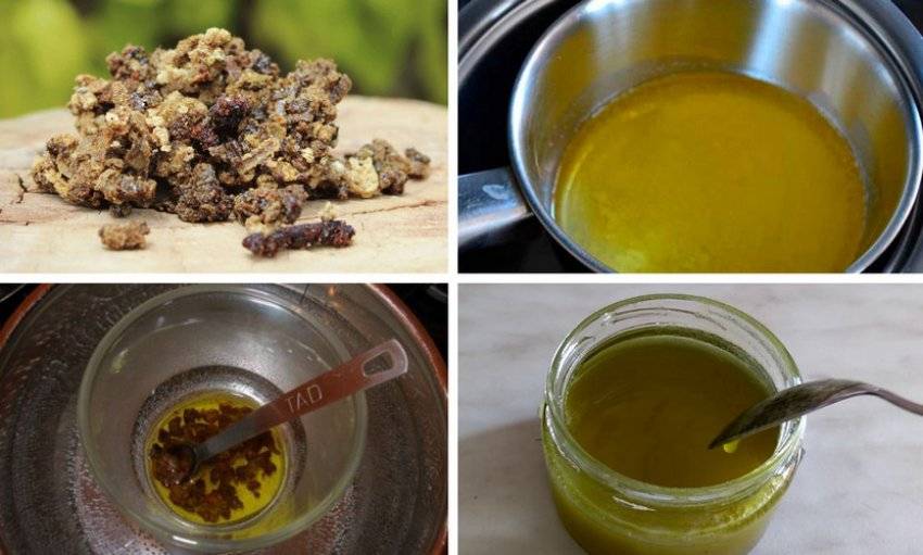 Прополис с маслом сливочным и растительным: как готовить