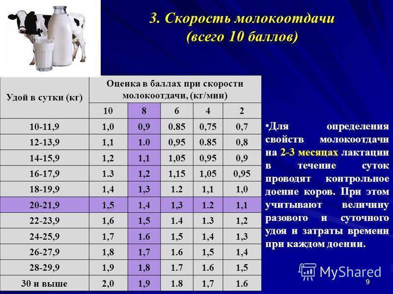 Оцените скорость. Скорость молокоотдачи у коров. Скорость молокоотдачи у коров норма. Таблица скорости молокоотдачи коров. Скорость молокоотдачи у коров голштинской породы.