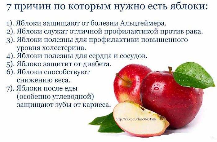 Польза и вред натурального яблочного сока — эликсира здоровья