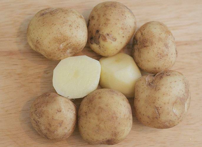 Сорт картофеля банба: ботаническое описание, агротехника выращивания и ухода