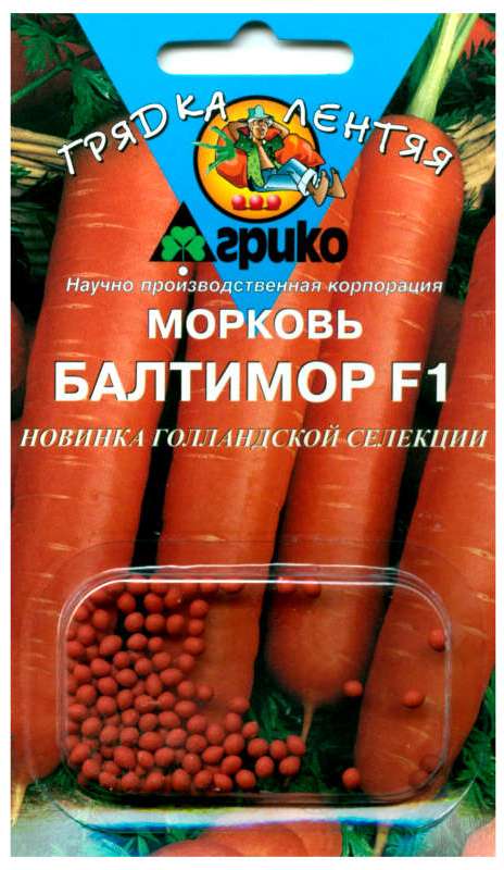 Морковь ранняя сорта | дачасадовника