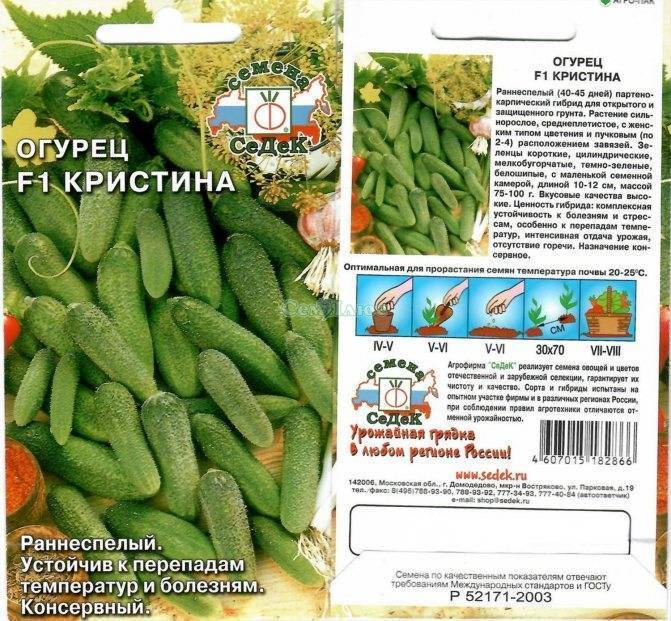 Лучшие сорта огурцов для открытого грунта средней полосы: описания, фото